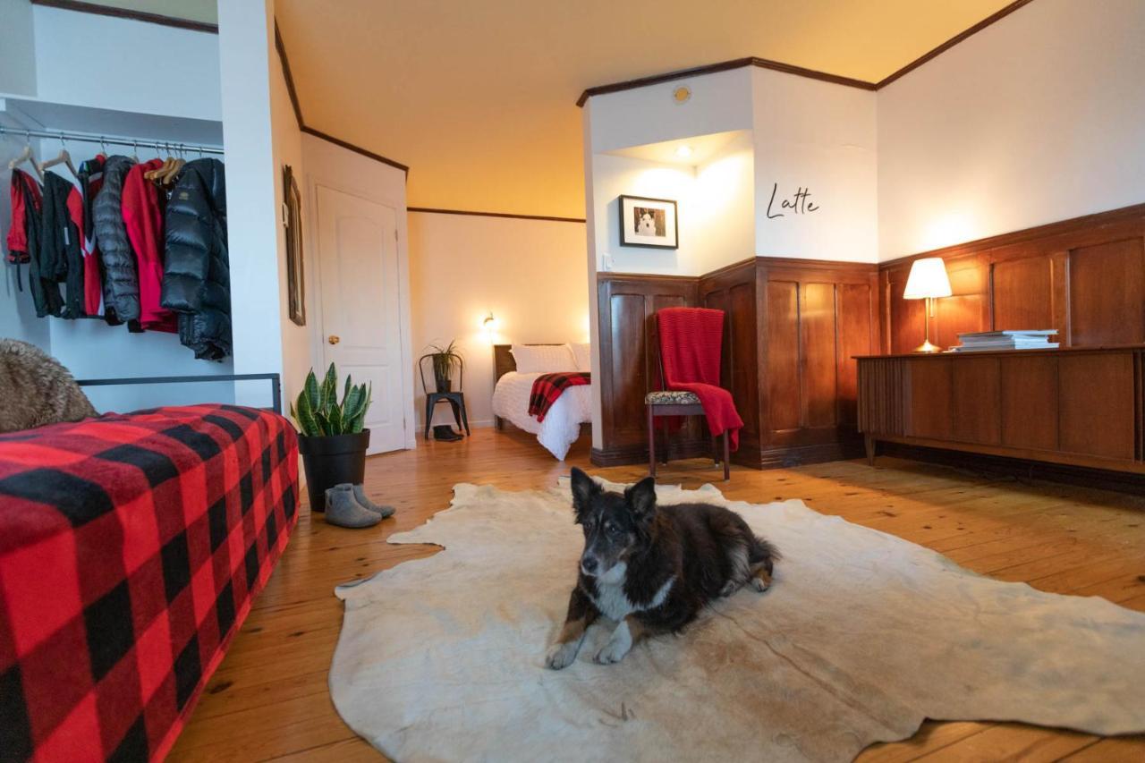 Auberge & Campagne Saint-Ferreol-les-Neiges Eksteriør billede